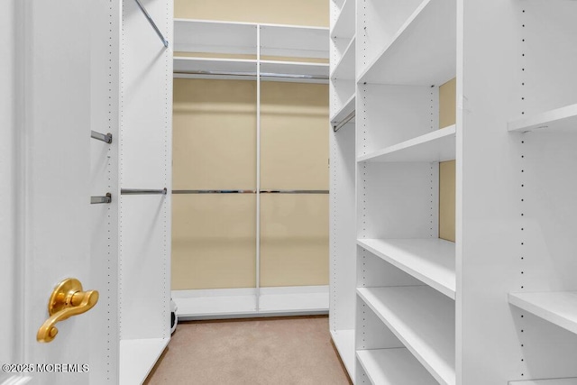 spacious closet featuring carpet flooring