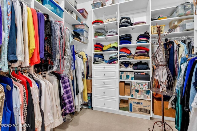 view of walk in closet