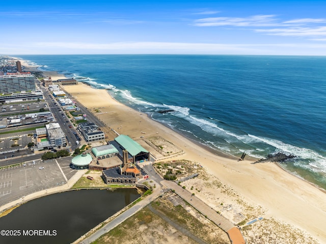 aerial view of unending shoreline
