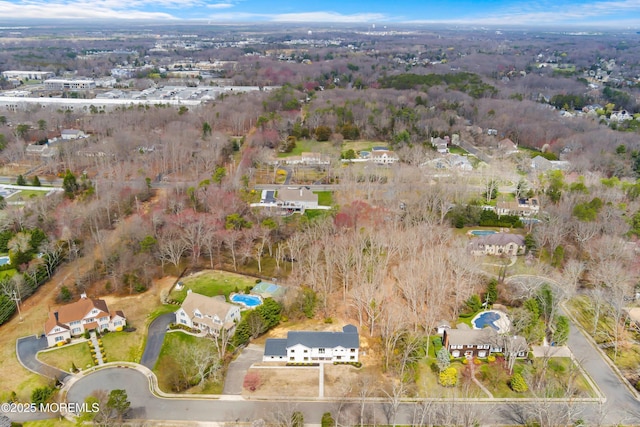 bird's eye view