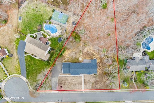 bird's eye view