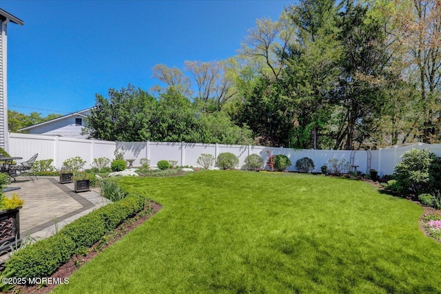 view of yard featuring a fenced backyard and a patio area