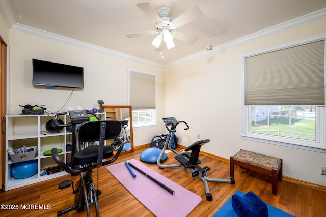 exercise room featuring ceiling fan, ornamental molding, baseboards, and wood finished floors
