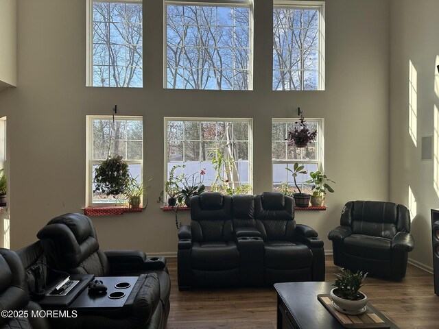 4 Christopher Dr, Howell, NJ 07731 - living room with plenty of natural light, wood finished floors, and a high ceiling