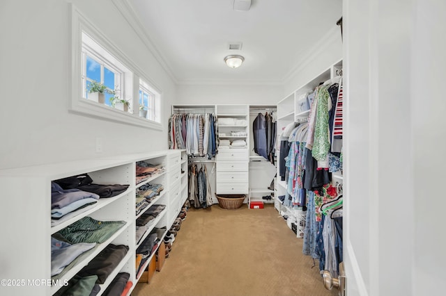 walk in closet featuring carpet