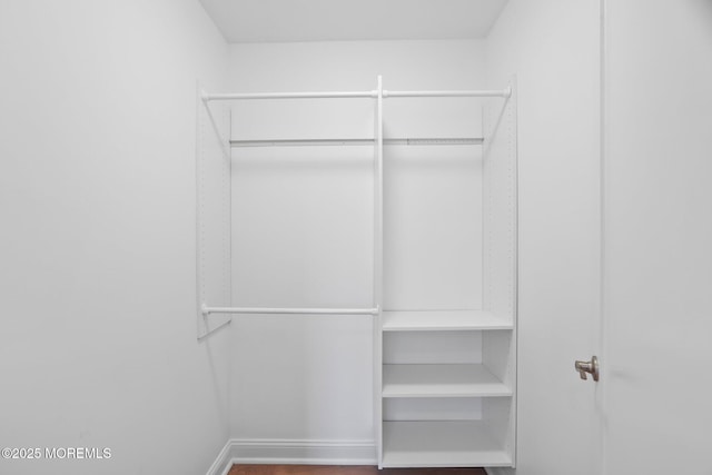 spacious closet with wood finished floors