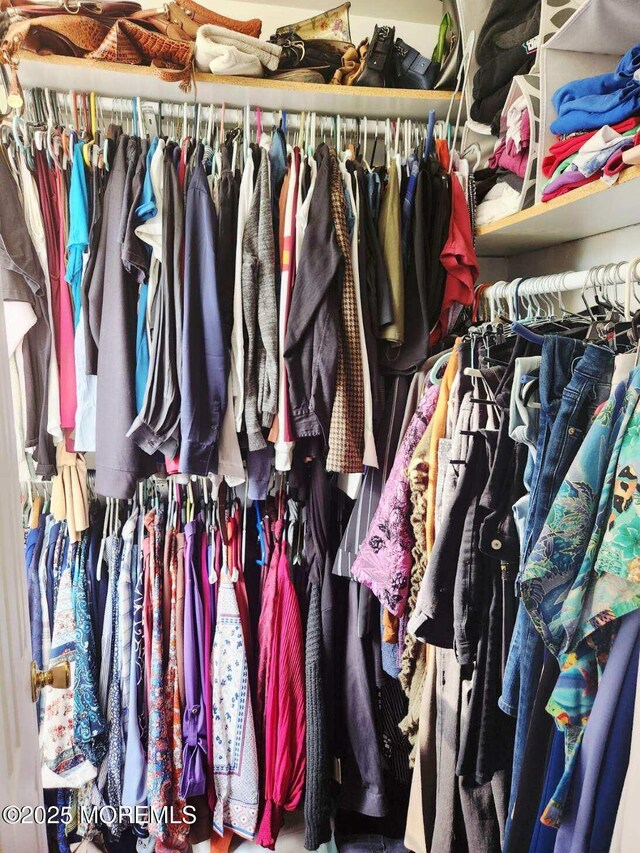 83 Nathan Blvd Unit 35, Sayreville, NJ 08859 - view of spacious closet