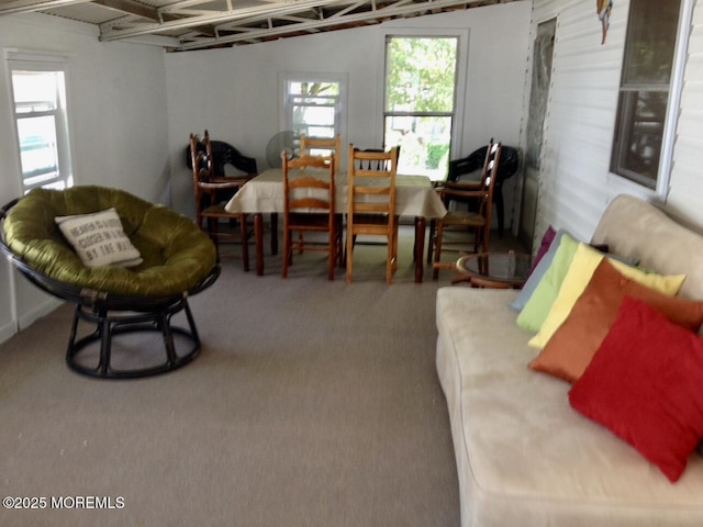 5 B Trl, Brick, NJ 08724 - living room featuring carpet flooring
