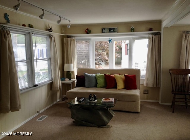 5 B Trl, Brick, NJ 08724 - living room with plenty of natural light, carpet, and baseboards