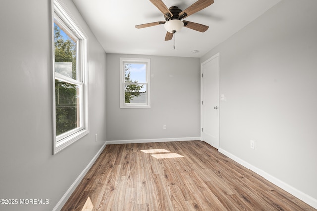 324 Cedar Ave, Elberon, NJ 07740 - photo 21