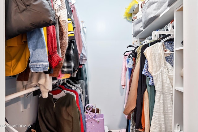 204 Begonia Ct, Jackson, NJ 08527 - view of walk in closet