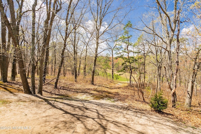 204 Begonia Ct, Jackson, NJ 08527 - view of street