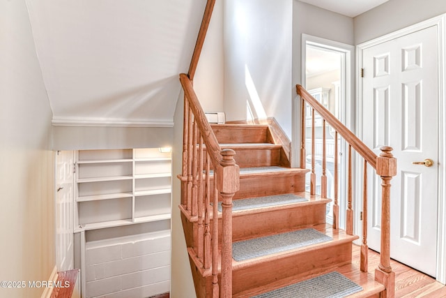 stairway featuring wood finished floors