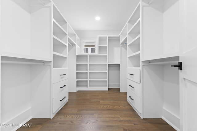 walk in closet featuring dark wood-style floors