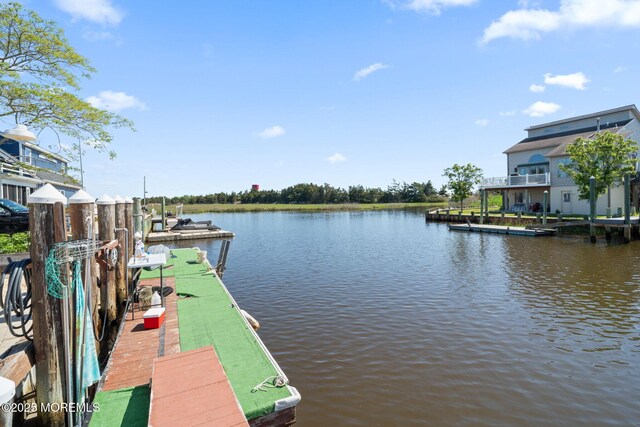 40 Daddy Tucker Dr, Little Egg Harbor, NJ 08087