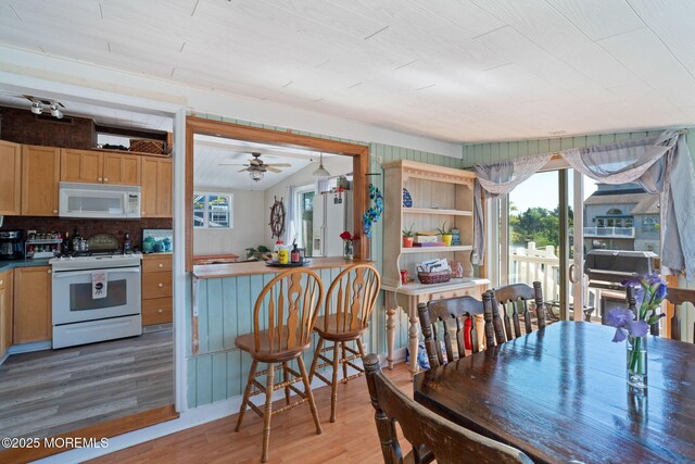 40 Daddy Tucker Dr, Little Egg Harbor, NJ 08087