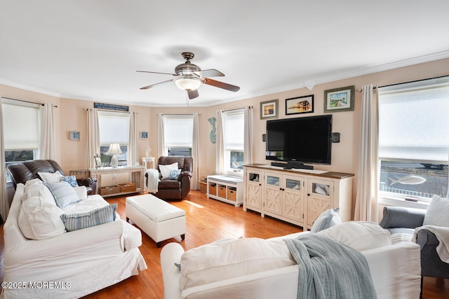 living room with ornamental molding, light wood-type flooring, and ceiling fan