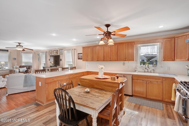 kitchen with a peninsula, ceiling fan, light countertops, light wood-style flooring, and stainless steel appliances