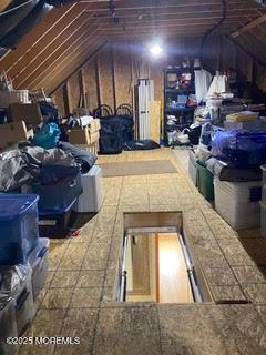 103 C St, Seaside Park, NJ 08752 - view of attic
