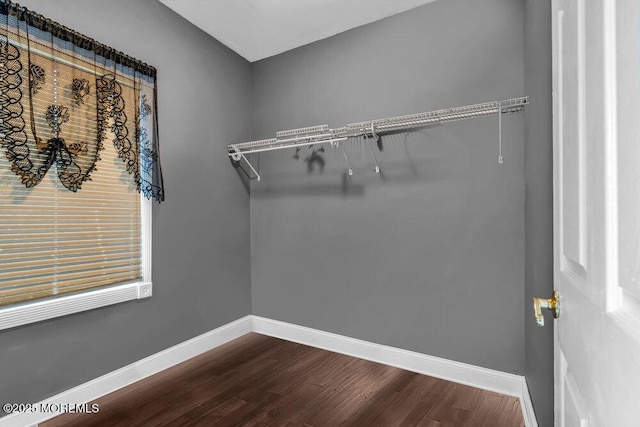 walk in closet featuring dark wood finished floors