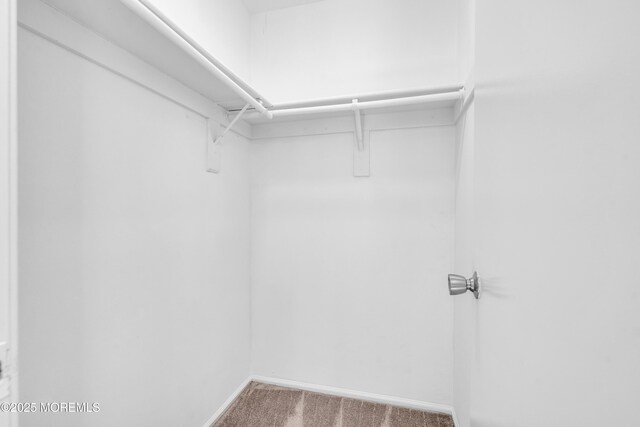 walk in closet featuring carpet floors