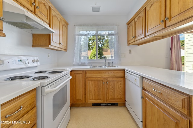 kitchen featuring brown cabinets, under cabinet range hood, light countertops, a sink, and white appliances