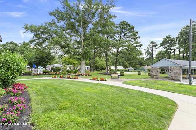view of community with a lawn