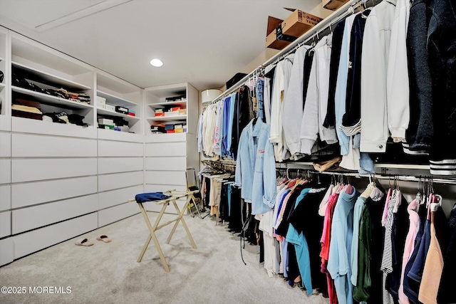 44 Nikki Ct, Morganville, NJ 07751 - walk in closet with carpet floors