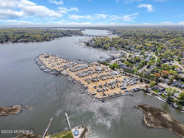 136 Lilac Dr, Brick, NJ 08724 - bird's eye view featuring a water view