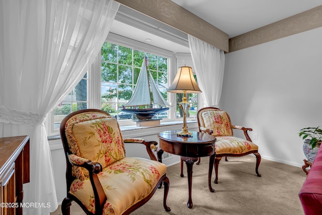 sitting room with carpet floors and baseboards