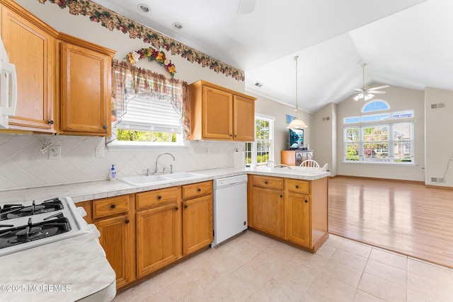 87 Halsted Dr, Manchester, NJ 08759 - kitchen featuring plenty of natural light, a sink, ceiling fan, and dishwasher