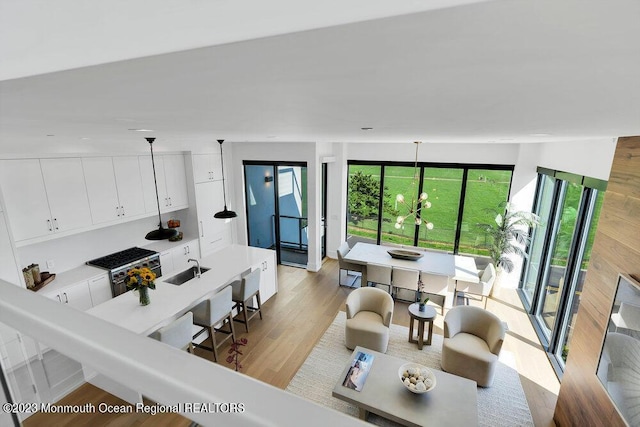 living room with a wealth of natural light and light wood-style floors