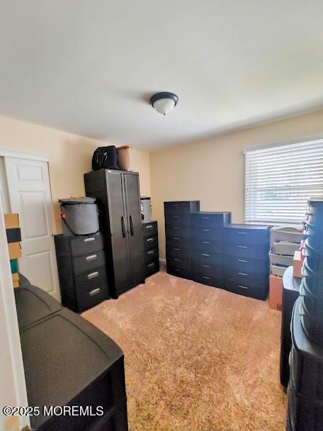 bedroom with carpet flooring