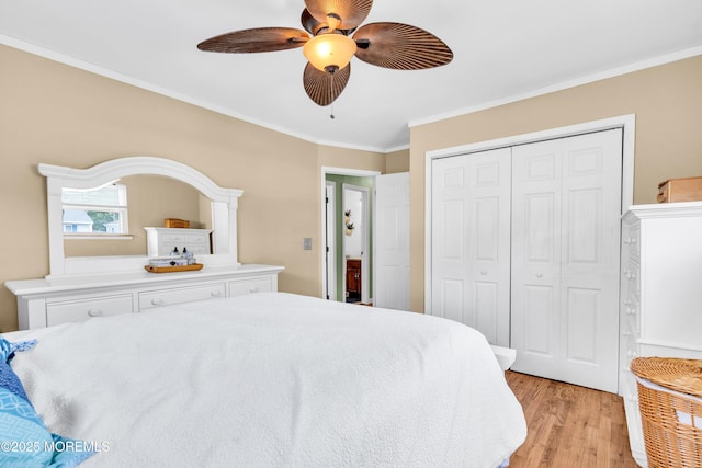 104 Rainbow Dr, Brick, NJ 08724 - photo 11
