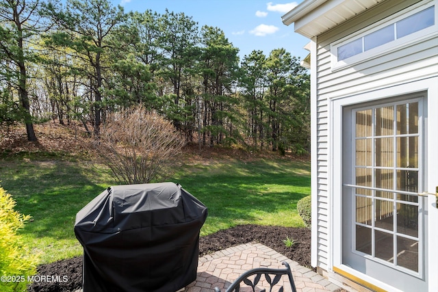 view of yard featuring a patio area