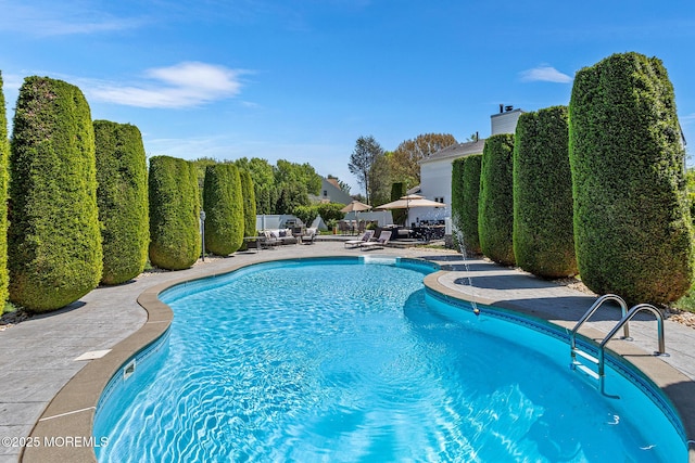 pool with a patio area