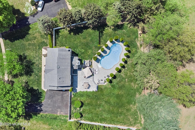drone / aerial view