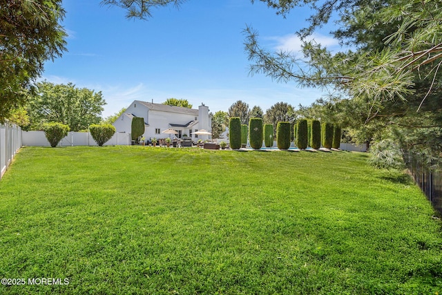 view of yard with a fenced backyard