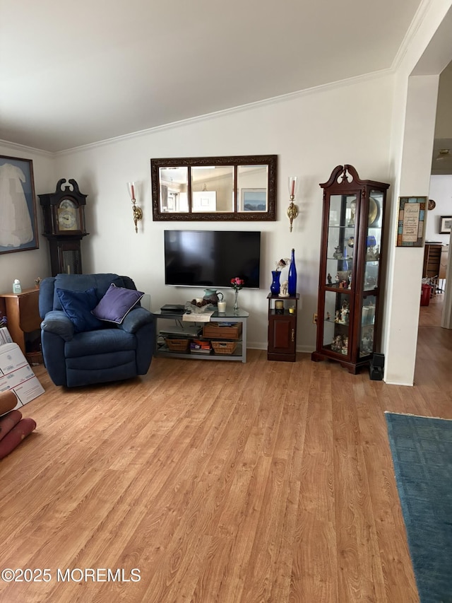 living room featuring crown molding and light wood-style floors