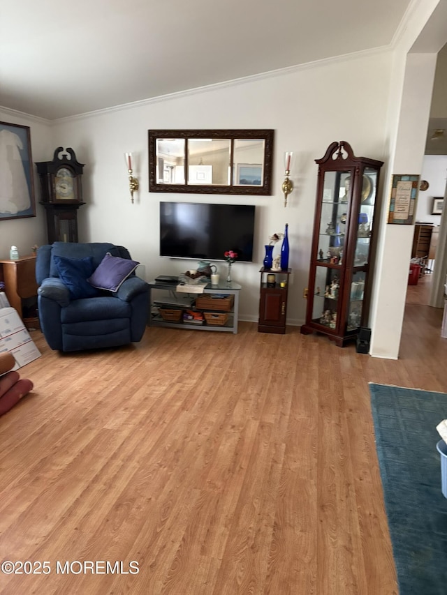 living room featuring light wood-style floors and ornamental molding