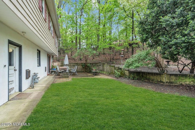 view of yard featuring a patio area