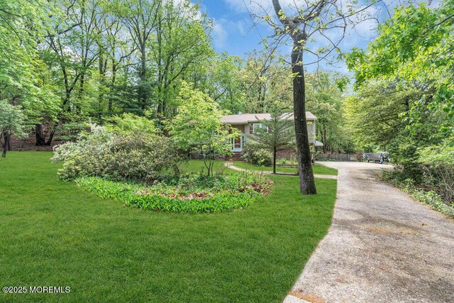 view of community featuring a yard and asphalt driveway