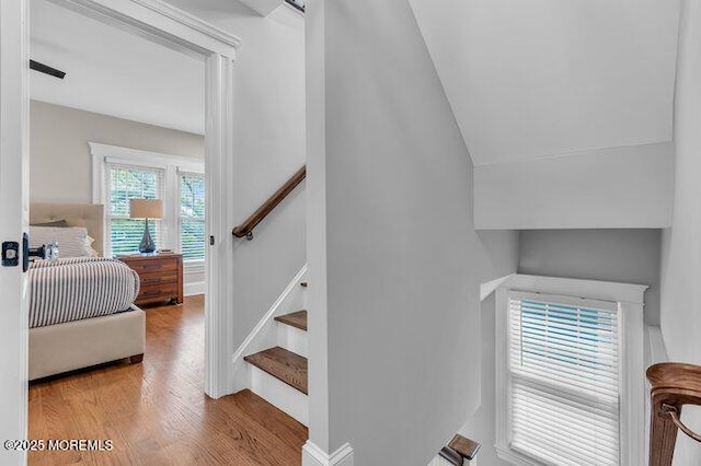 stairs with vaulted ceiling and wood finished floors