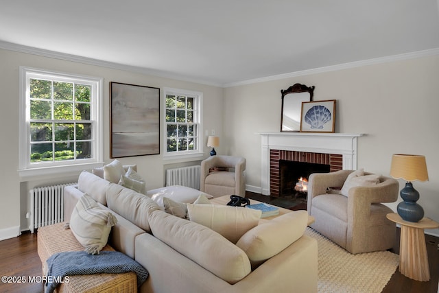 living room featuring ornamental molding, radiator heating unit, dark wood-type flooring, and a fireplace