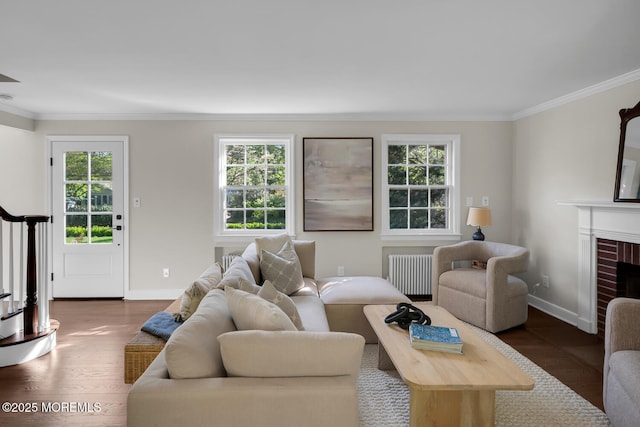 living room with crown molding, a brick fireplace, dark wood finished floors, baseboards, and radiator