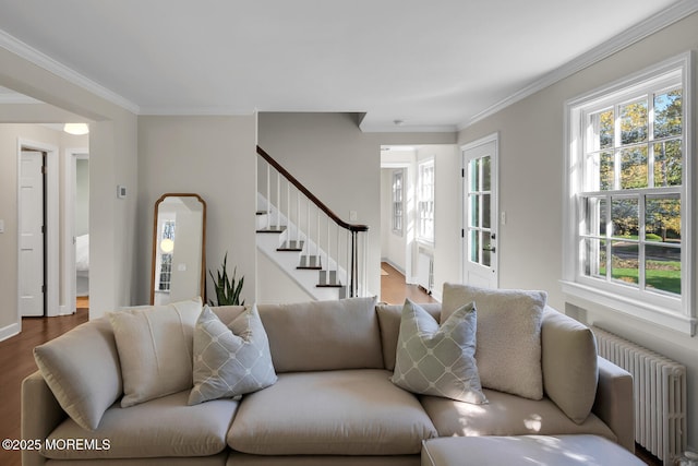living area with radiator heating unit, crown molding, stairway, and wood finished floors