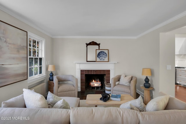 living room featuring a brick fireplace, ornamental molding, wood finished floors, and radiator