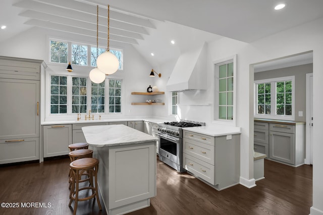 kitchen with a center island, a sink, dark wood finished floors, high end stainless steel range oven, and vaulted ceiling