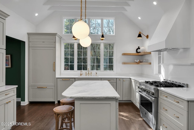 kitchen featuring a sink, dark wood finished floors, high end stainless steel range oven, and premium range hood