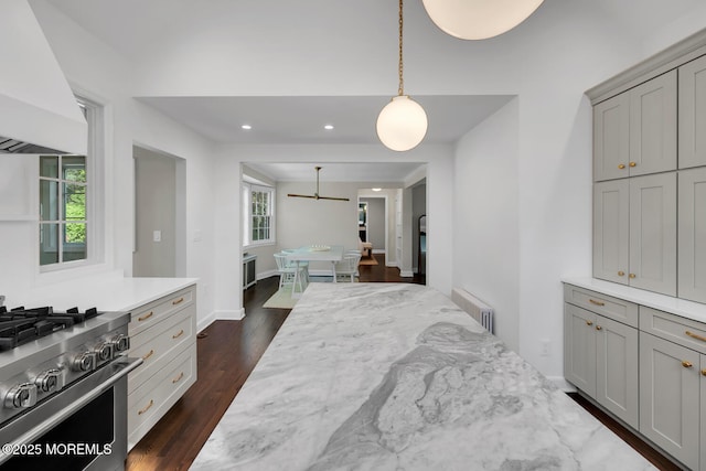 interior space with recessed lighting, baseboards, radiator heating unit, and dark wood-style floors
